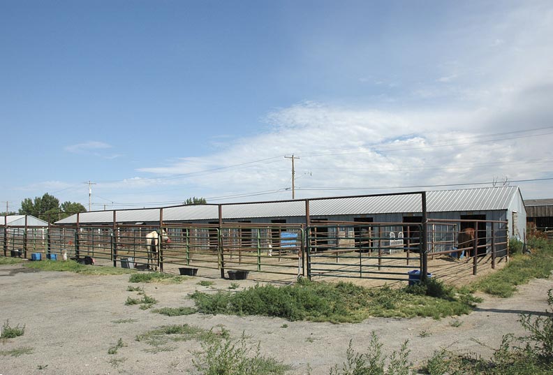 File:Saddle Club.jpg